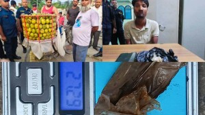 आँप बेच्ने बहानामा ब्राउन सुगर कारोबार, भारतीय नागरिक वीरगञ्जबाट पक्राउ