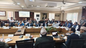 अन्तर–सरकारी वित्त परिषद् बैठकमा वीरगंजका मेयर सिंहको सहभागी