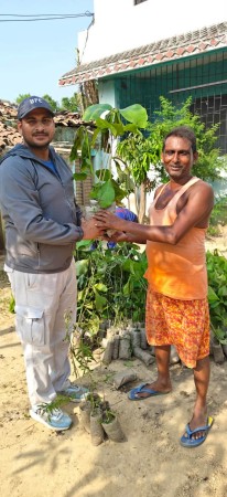 सामाजिक अभियान्ता एवं युवा नेता पाण्डेयको पहलमा ६००० बिरुवा स्थानीयलाई हस्तान्तरण